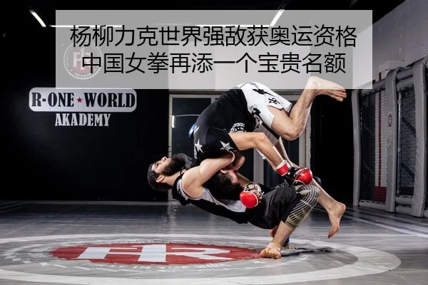 杨柳力克世界强敌获奥运资格 中国女拳再添一个宝贵名额